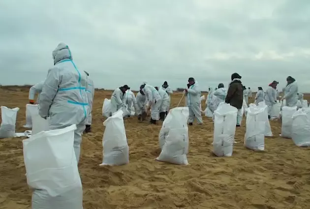 очистка побережья Черного моря от нефтепродуктов