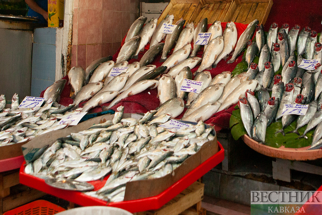 Рыбный рынок