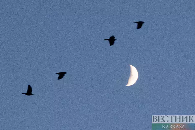 Священные ночи в исламе – Рагаиб, Мирадж, Бараат и Аль-Кадр: когда и что нужно делать?