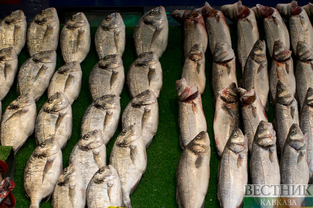 Северная Осетия стала лидером по производству товарной рыбы в СКФО