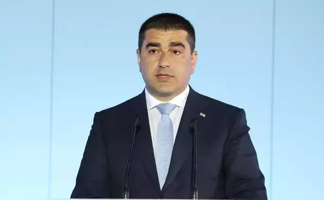 Папуашвили призвал ЕС обнародовать финансовые вливания в Грузию