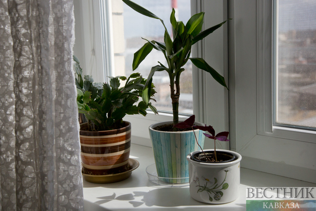 Строительство домов специально для сирот впервые завершили на Ставрополье