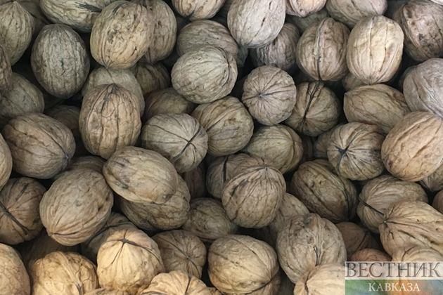 В Ингушетии строится завод по переработке ореха