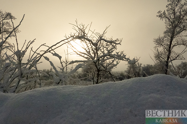 Полуметровые сугробы выросли на Красной Поляне