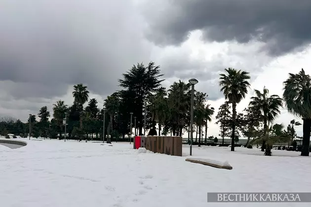 Снег в Батуми