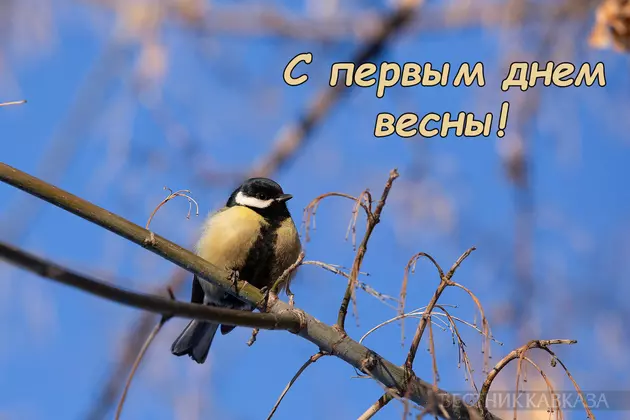 Открытка с первым днем весны