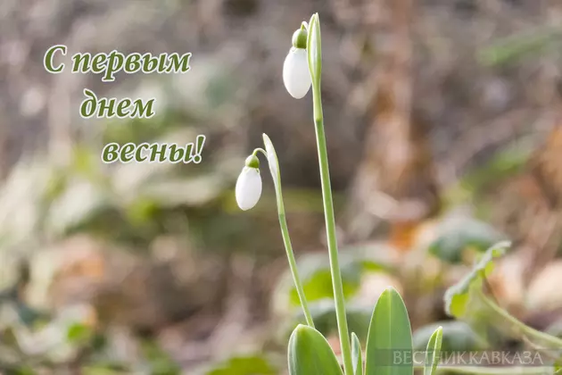 Открытка с первым днем весны