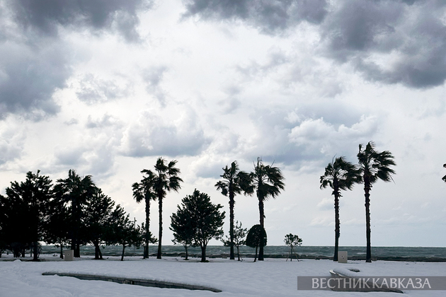 Батуми в снегу