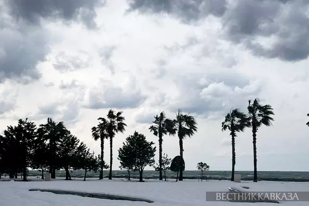 Батуми в снегу