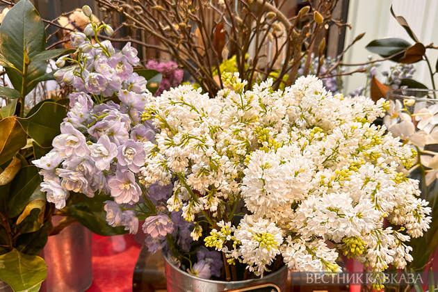 Сирень и дельфиниум