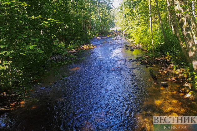 Через Назрань будет течь чистая Назранка