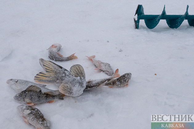 В Северной Осетии утонули два рыбака