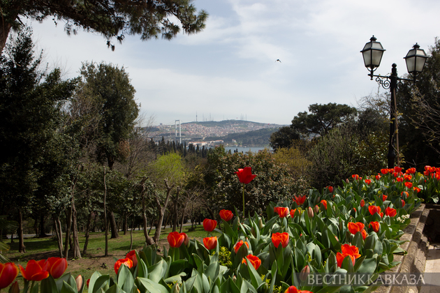 Парк Йылдыз в Стамбуле