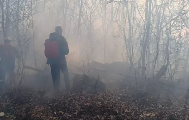 пожар в Сочинском нацпарке
