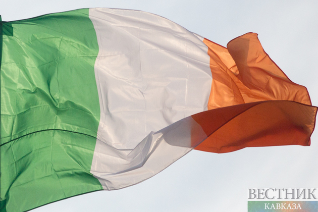 Экс-чемпион UFC хочет принять участие в выборах президента Ирландии