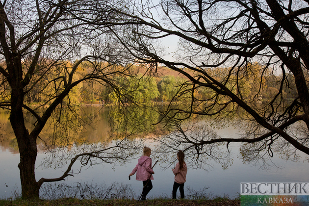 Белый амур спасет от цветения городское озеро в Ессентуках