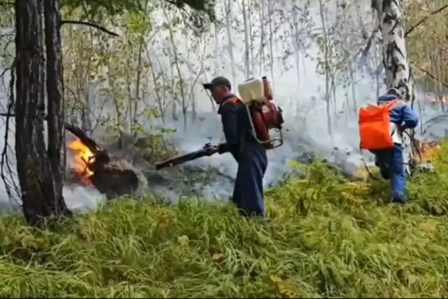 Дагестан вводит особый противопожарный режим