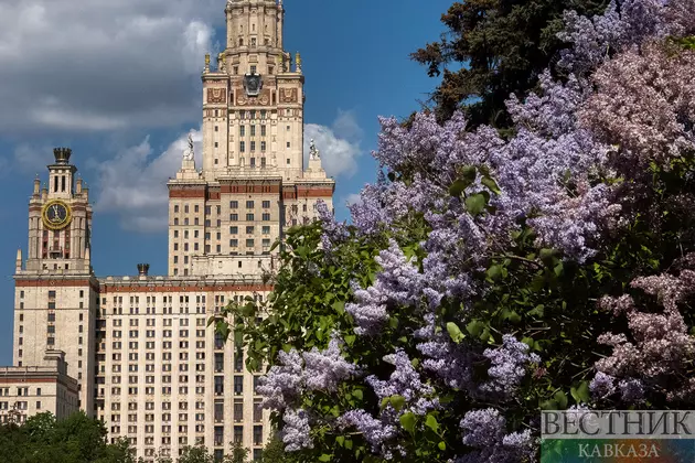 Цветение сирени у здания МГУ
