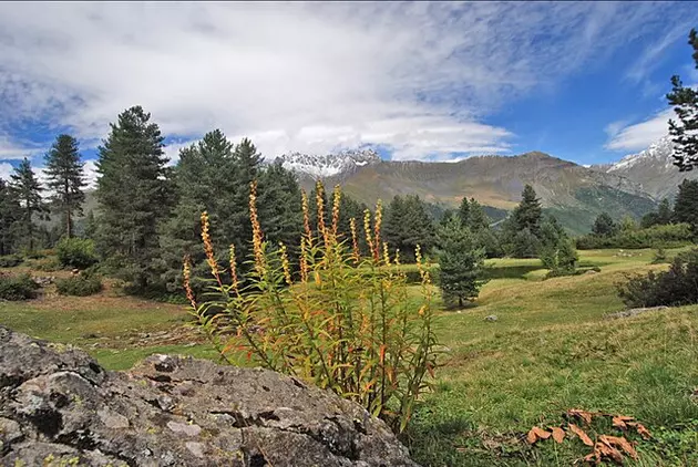 Что посмотреть по пути из Кутаиси в Зугдиди: достопримечательности Самегрело