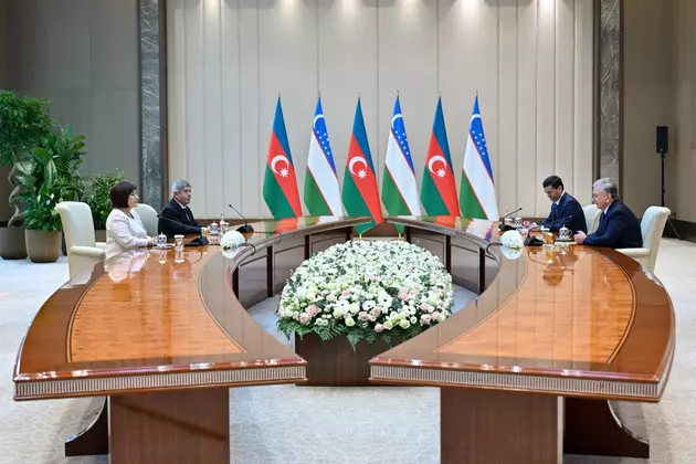 Мирзиеев принял главу парламента Азербайджана