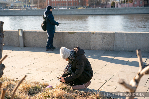 Цветение крокусов в парке Музеон