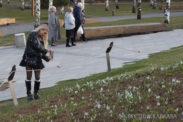 Цветение пушкинии в парке Зарядье