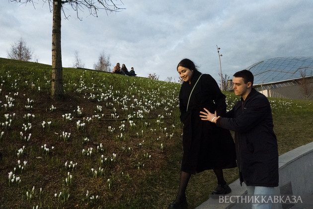 Цветение крокусов в парке Зарядье