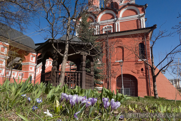 Цветение крокусов в парке Зарядье