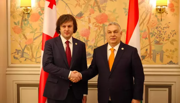 Кобахидзе и Орбан обсудили сотрудничество Грузии и Венгрии