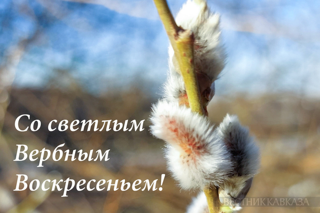 Открытка с Вербным воскресеньем