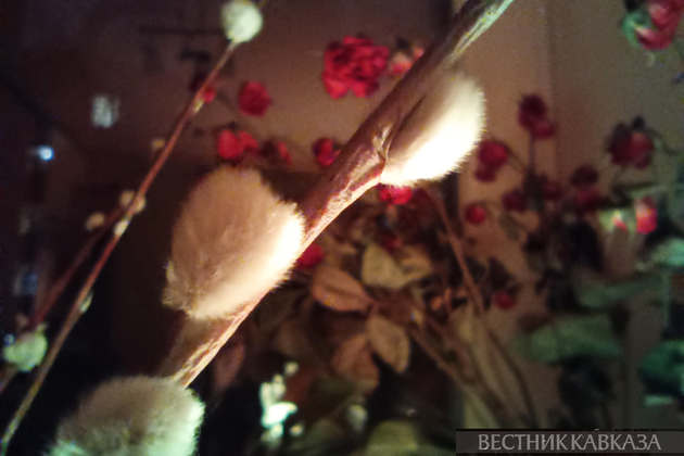 Вербное воскресенье 2025: что означает, как отмечают и что нельзя делать?