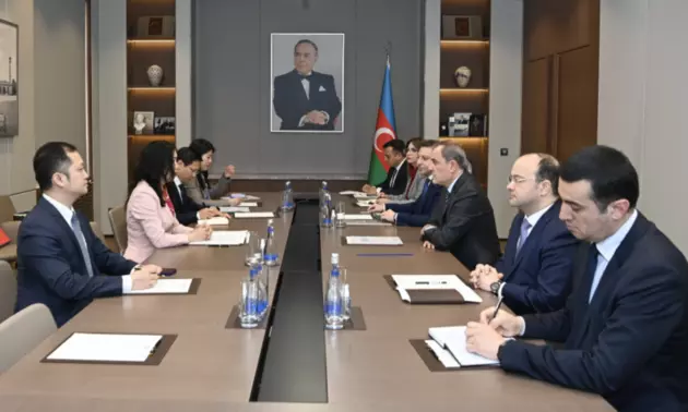 Глава МИД Азербайджана принял вьетнамскую делегацию