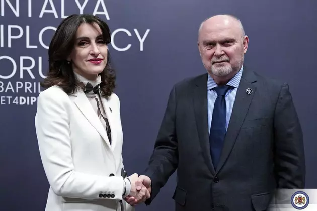 Глава МИД Грузии оценила визит генсека ОБСЕ