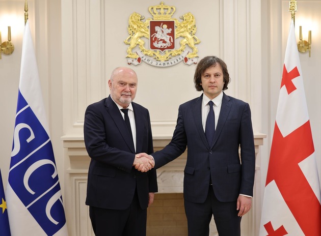 Кобахидзе обсудил с генсеком ОБСЕ ситуацию на Южном Кавказе