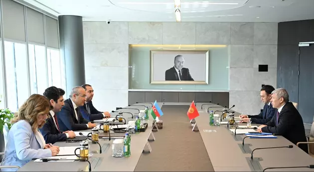 Киргизия готова сотрудничать с Азербайджаном по "зеленым" проектам