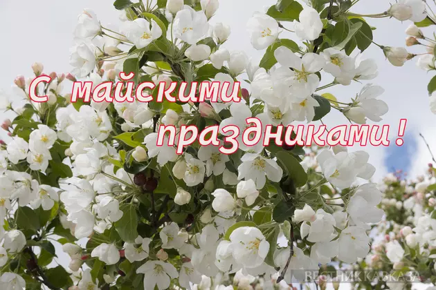 Открытка с 1 мая