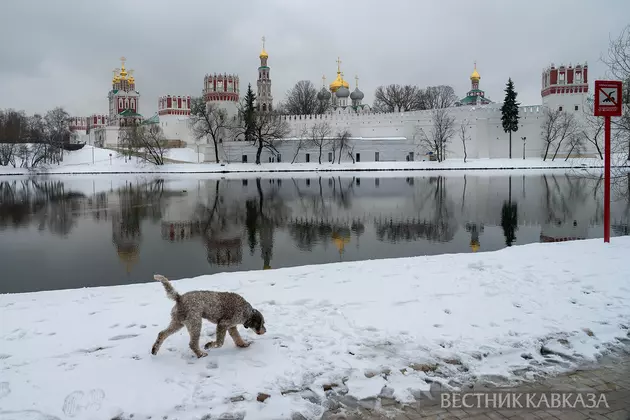 Новодевичий монастырь в Москве