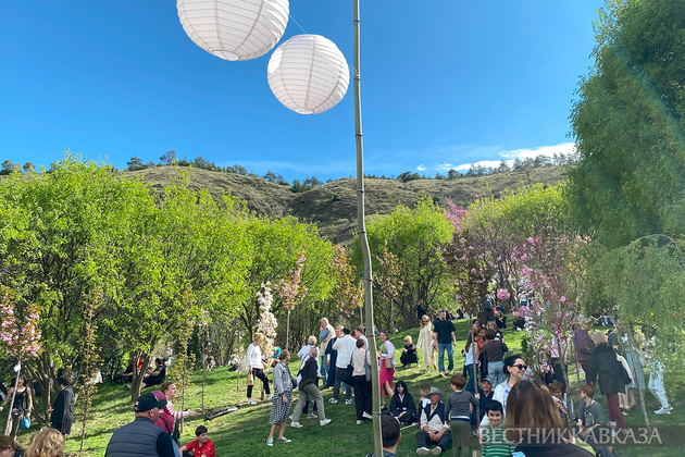 Фестиваль сакуры в Тбилиси