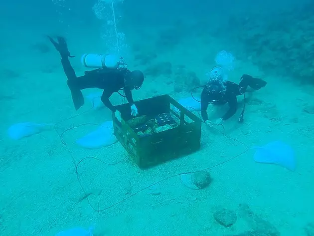 Крупнейший клад в истории Израиля был найден случайно: как это произошло?