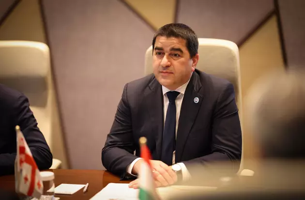 Спикер парламента Грузии прилетел на конференцию ЕС