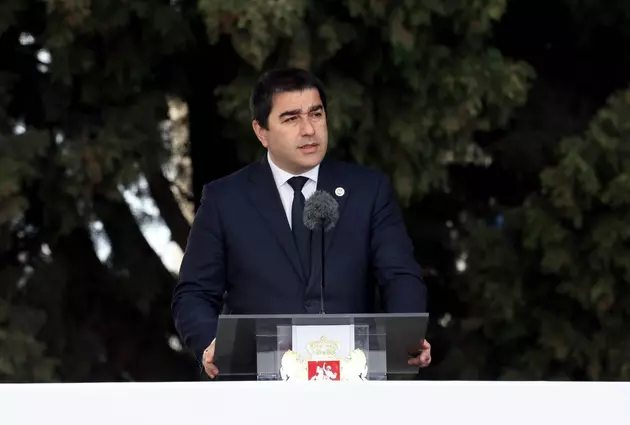 "Грузинская мечта" внесла наибольший вклад в евроинтеграцию Грузии – Папуашвили