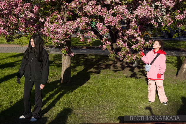 Цветение в Москве