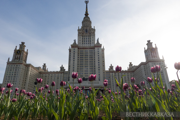 Цветение в Москве