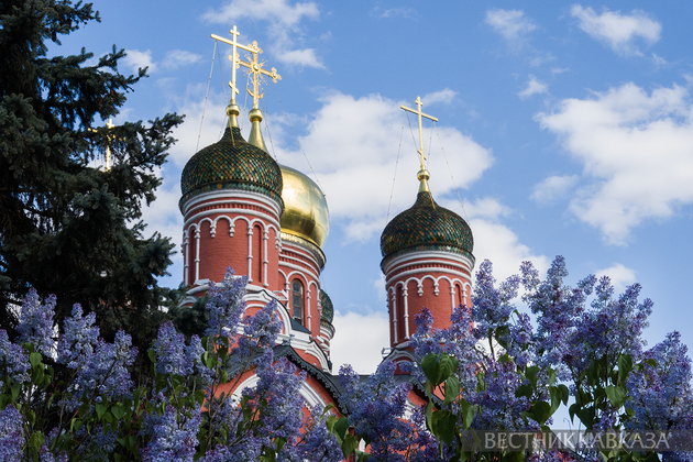 Цветение в Москве