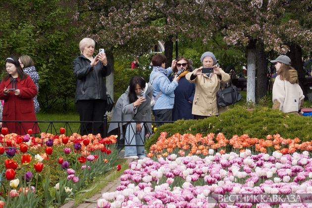 Цветение в Москве