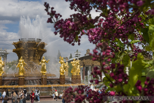 Цветение в Москве