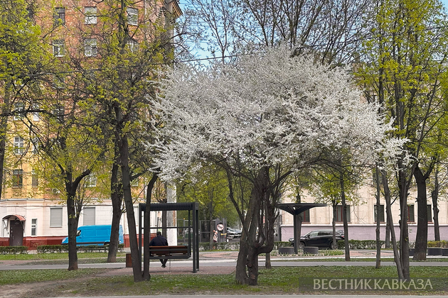 Цветение в Москве