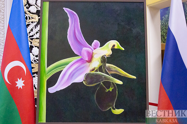 Азербайджан не допустил реваншистскую провокацию Армении на "Евровидении"