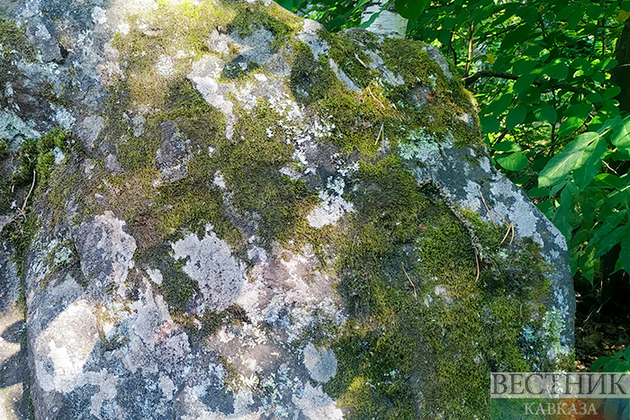 Роснедра: Россия может обеспечить мир редкоземельными металлами