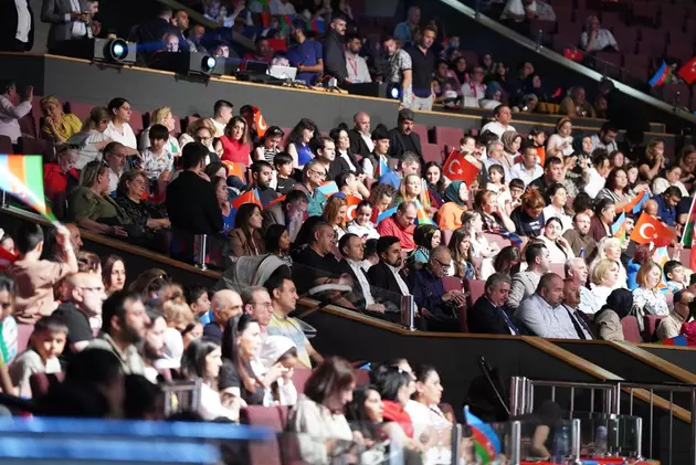 Мероприятие ко Дню независимости Азербайджана прошло в Стамбуле